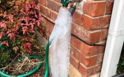 Why Spring Is the Most Important Time to Check Your Plumbing